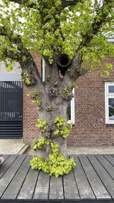 Puur Eastermar - Monumentaal, Authentiek En Luxe Koetshuis Aan Open Vaarwater Met Jacuzzi En Sauna Oostermeer Luaran gambar