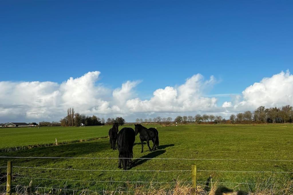Puur Eastermar - Monumentaal, Authentiek En Luxe Koetshuis Aan Open Vaarwater Met Jacuzzi En Sauna Oostermeer Luaran gambar
